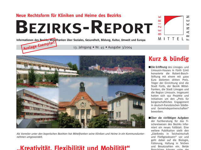 Titelblatt Bezirksreport Ausgabe 3/2004