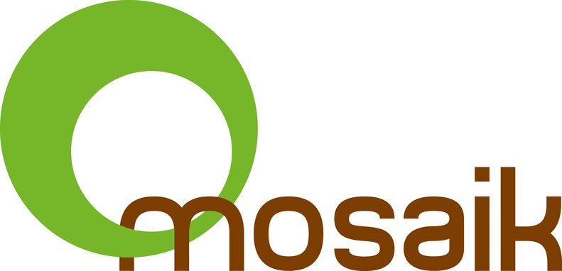 Logo mosaik gGmbH