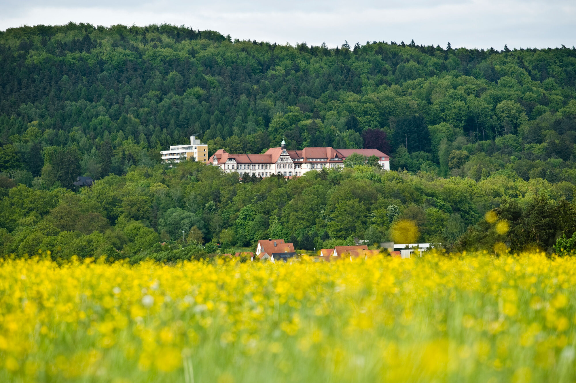 Blick auf die Frankenalb-Klinik Engelthal am Hang des Tales, Rapsfeld im Vordergrund
